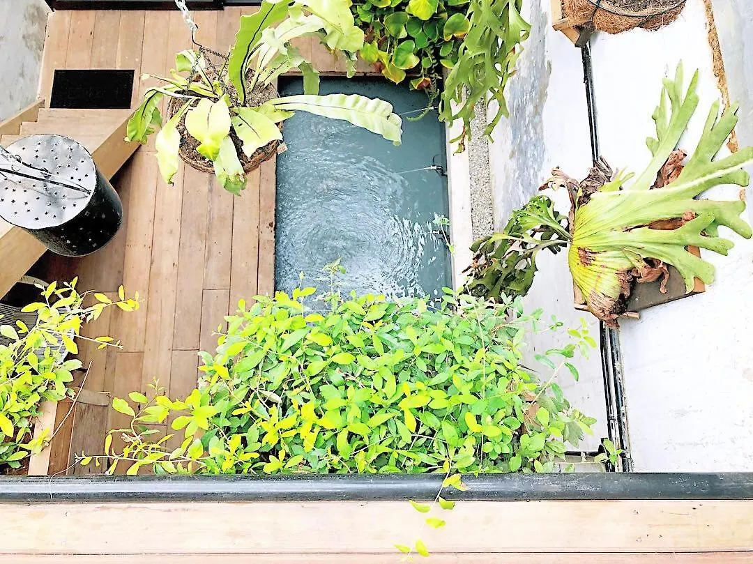 Rimba Jonker With Private Pool -10 Pax 2B/R Villa Malacca