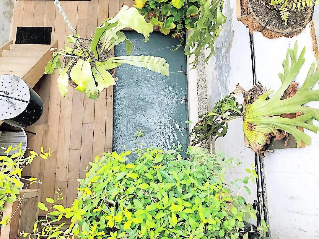 Rimba Jonker With Private Pool -10 Pax 2B/R Villa Malacca